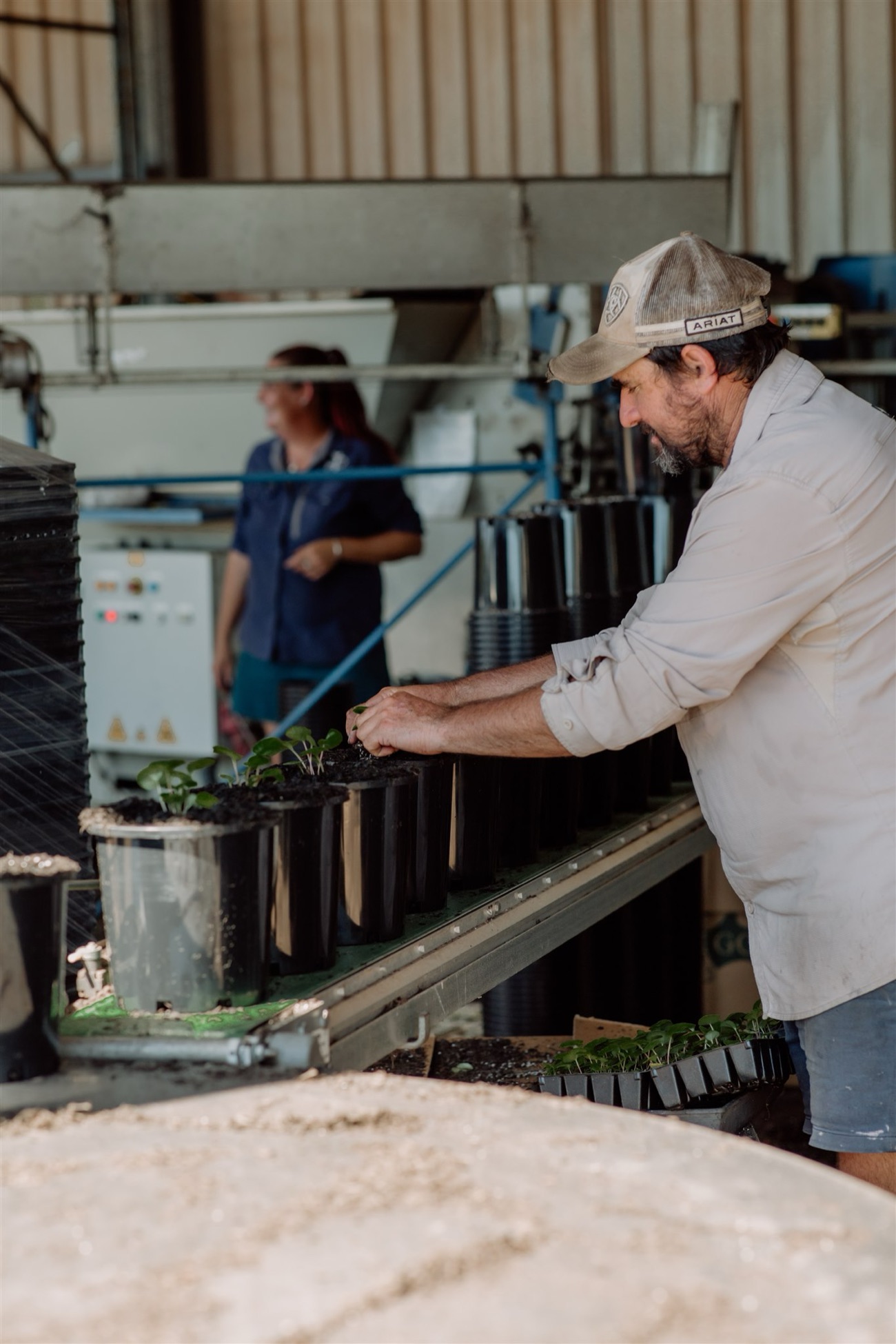 Florafolia team potting stock at the nursery
