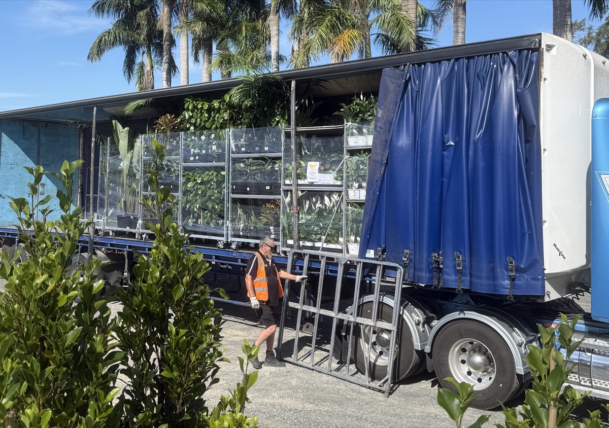 Trolleys loaded for overnight delivery down the eastern seaboard